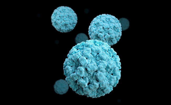 Norovirus Is Back In The Country : All You Need To Know About The Virus 87 What Is Norovirus And How It Spreads? All You Need To Know
