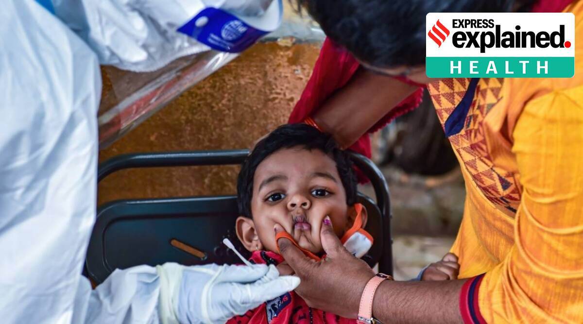 Tomato flu affects 80 children in Kerala: Know all about it here 5 About tomato flu