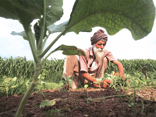 Fuel and Farmers: Farmer’s plight unheard, once again 87 Image result for Farmers in punjab