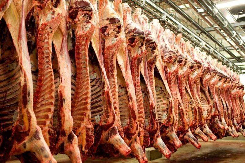 "Why Isn't Liquor Banned On Our Festivals?!": Meat Traders Express Resentment On The Meat Ban in Bengaluru 6 Monthly red meat production rises 43% yr/yr - Tehran Times