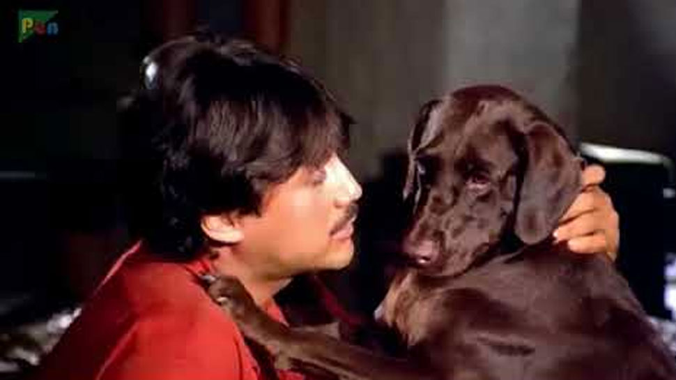 As 777 Charlie is Set to Release: Here are Seven Times When Dogs Won More Praise Than Stars in Films 116 When Jackie Shroff was bitten by a dog on shooting since then he never does this work- Watch VIDEO | जब Jackie Shroff को बीच शूटिंग में कुत्ते ने काटा, खुद सुनाई