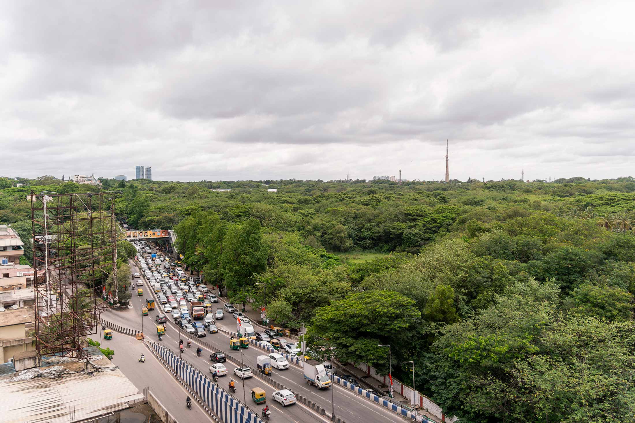 Bengaluru's Battle For Green Spaces: Development Vs. Sustainability 91 India's Tech Boom Has Fueled Bangalore's Growth -
