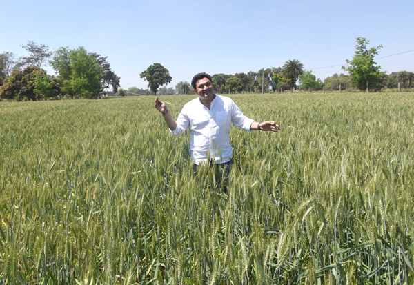 From Rosesh To The Fields: Actor Rajesh Kumar's Journey 87 actor rajesh kumar: Here's how Rajesh Kumar aka Rosesh Sarabhai is turning Barma into a smart village