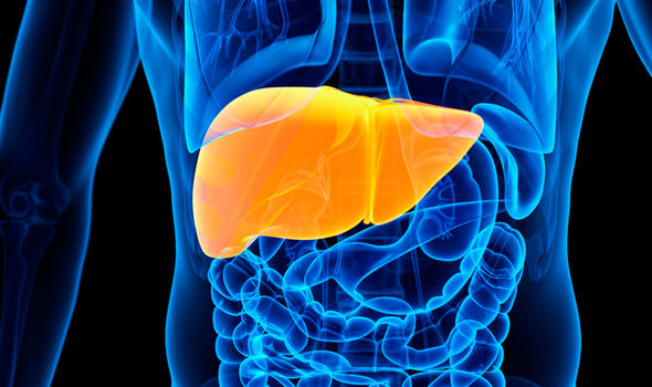 Dark Truth Revealed About Paracetamol: Fever Killer Or Liver Killer? 91 Liver failure warning: Paracetamol could be putting YOUR liver at risk