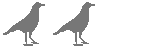 2c