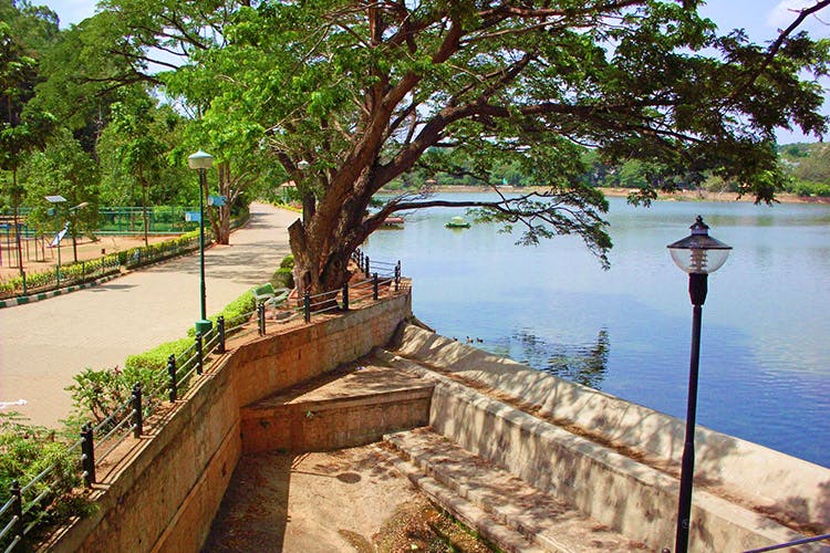 North West Bengaluru Emerging As A Business District : Report 87 Things To Do In Malleshwaram | LBB, Bangalore