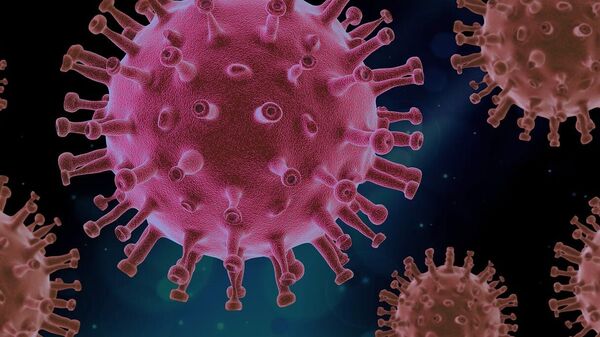 High-Likelihood COVID-19 Outbreak: Chinese Scientist Shi Zhengli Sounds The Alarm Again 88 China's 'batwoman' scientist warns another 'highly likely' coronavirus outbreak in future: Report |