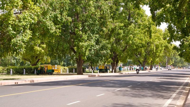 Island Of Trees Poses A Threat On The Mathura Road Stretch In Delhi 87 full