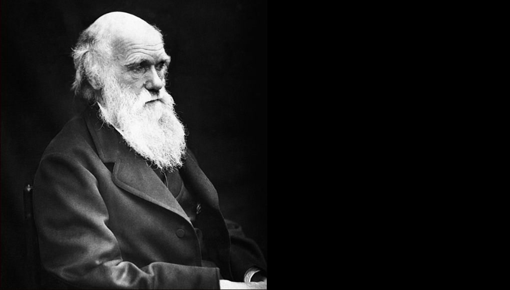 Scientists and Educators Oppose Removal of Darwin's 'Theory of Evolution' From NCERT 87 NCERT Books: 1,800 scientists, researchers demand restoration of Darwin's evolution theory
