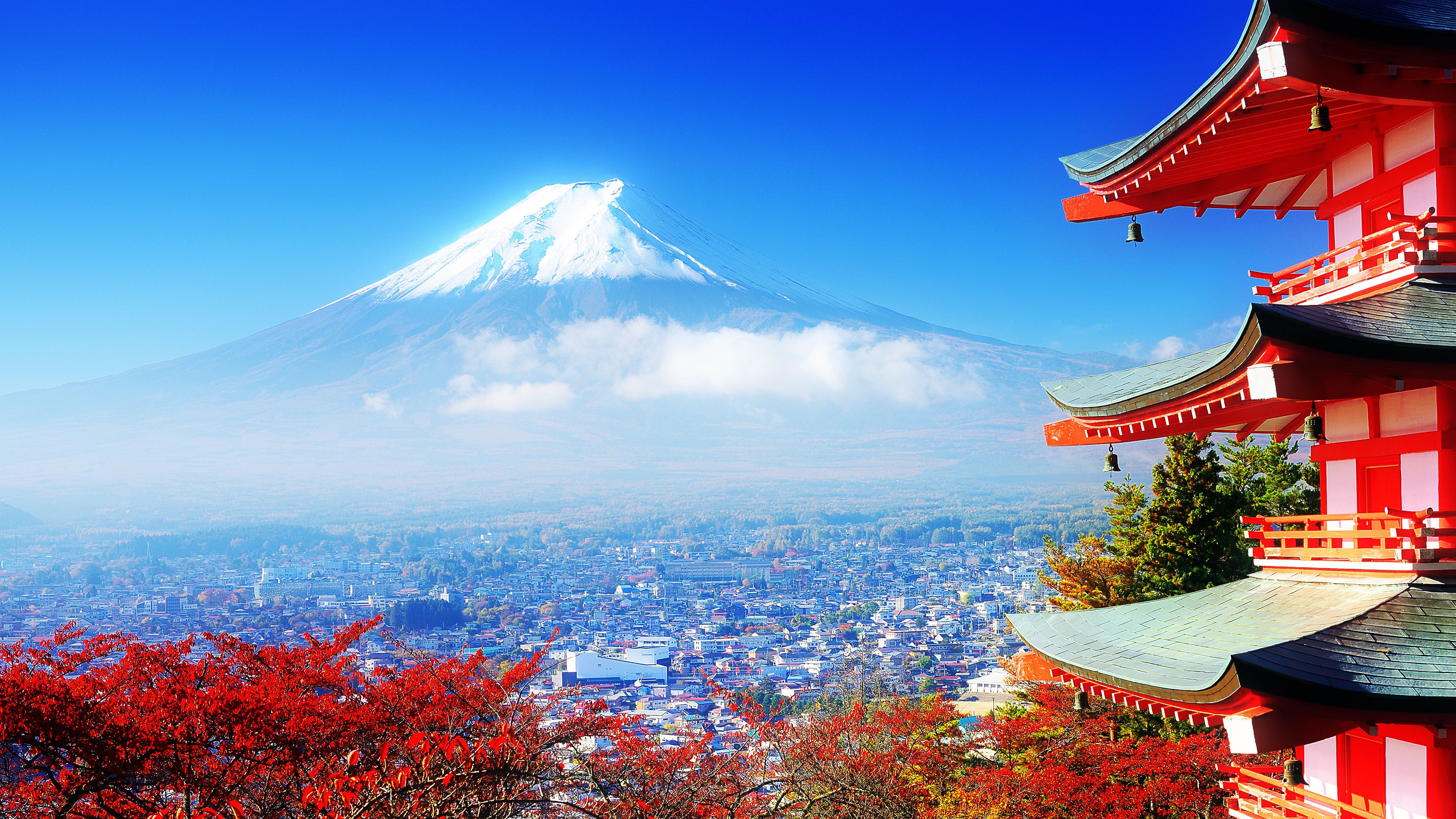 These 10 Companies Have Aged Like A Fine Wine... Continuing Operations Even After Millennium 87 4k Magical Mount Fuji, Japan