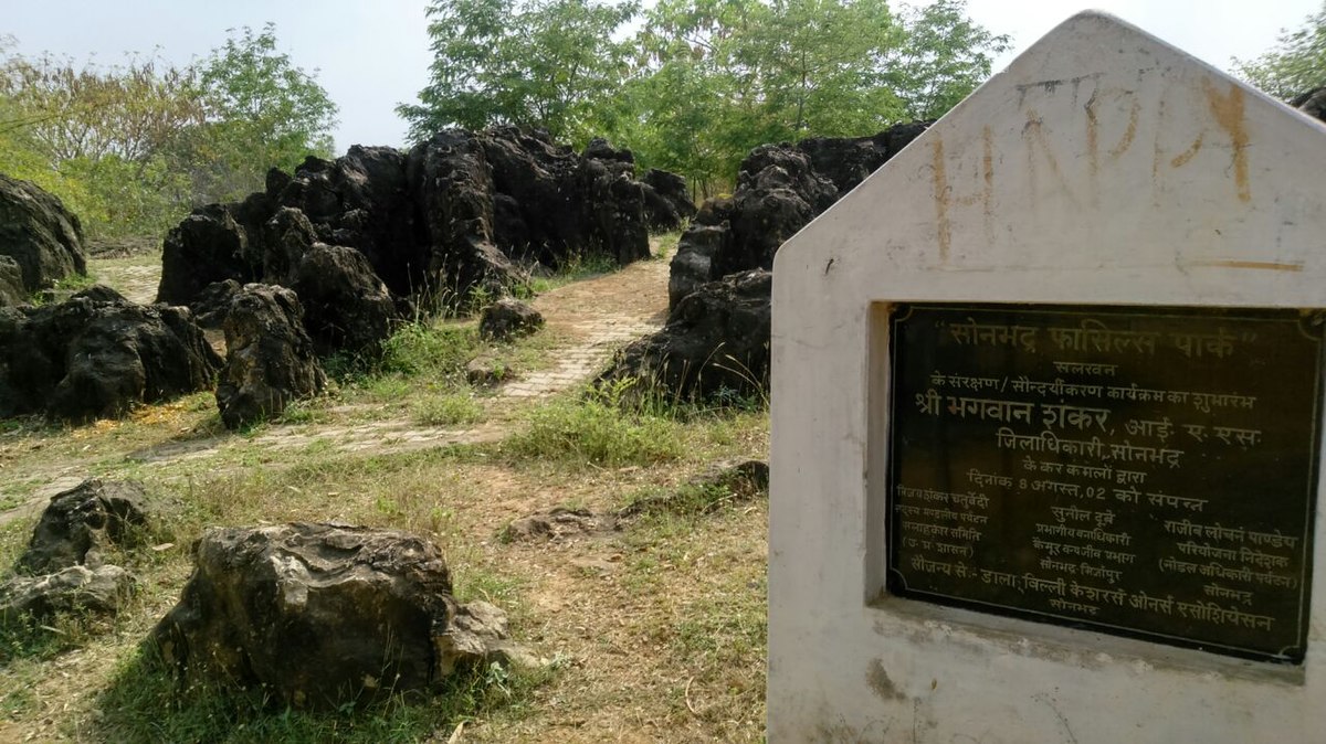 Sonbhadra Fossil Park Aims For UNESCO World Heritage Status 88 Sonbhadra Fossil Park May Get UNESCO World Heritage Status
