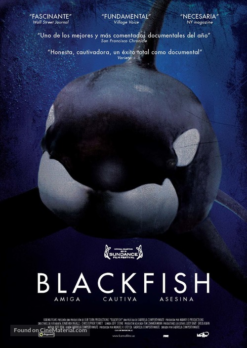 10 Documentaries That Had A Massive Social Impact 112 Blackfish (2013) Spanish movie poster