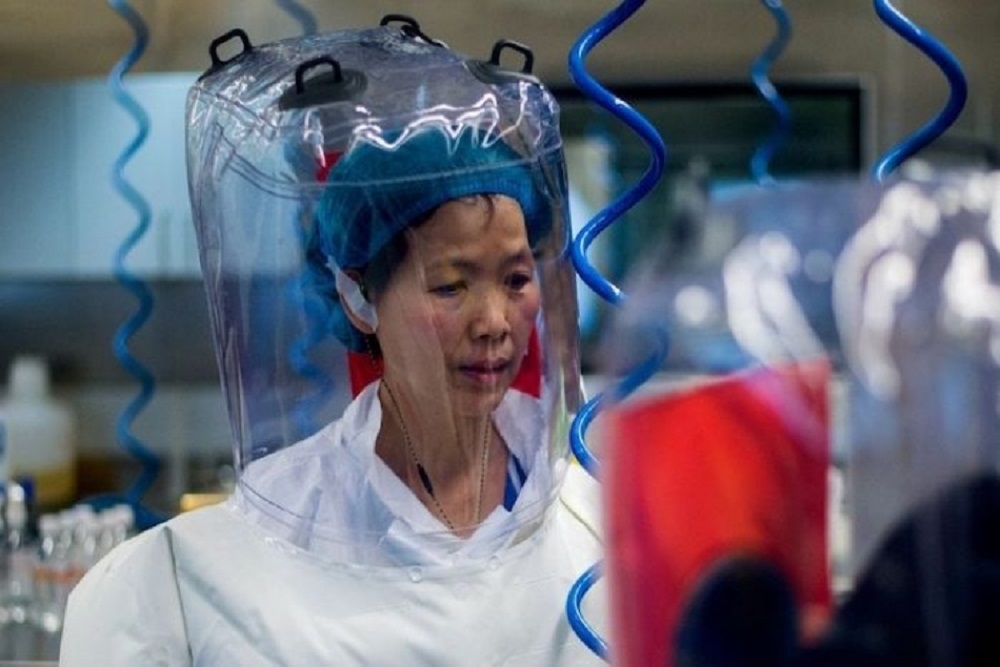 High-Likelihood COVID-19 Outbreak: Chinese Scientist Shi Zhengli Sounds The Alarm Again 87 China: Wuhan Institute Of Virology's 'Batwoman' Shi Zhengli Says Another Coronavirus Outbreak 'Highly Likely'