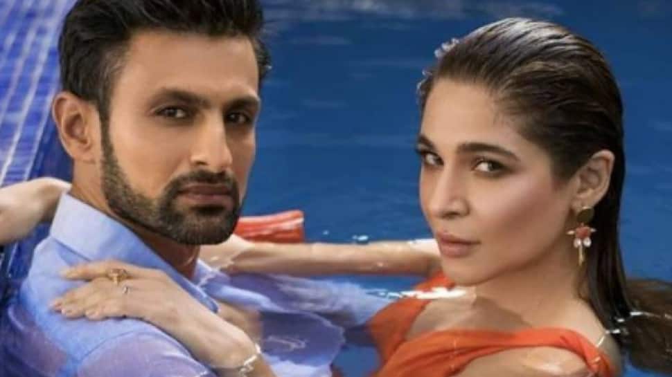 Is Pakistani Actress Ayesha Omar Responsible For Shoaib Malik And Sania Mirza’s Divorce? 87 Ayesha Omar