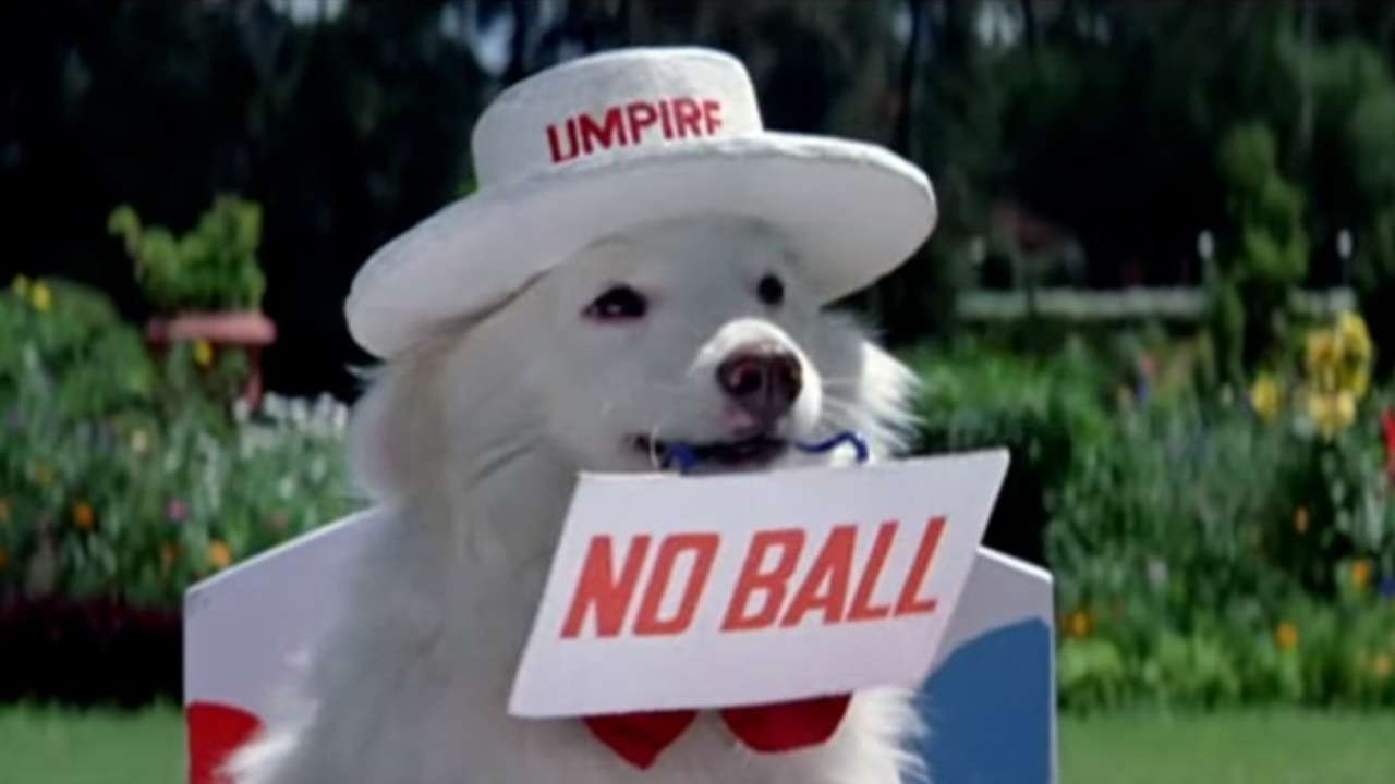As 777 Charlie is Set to Release: Here are Seven Times When Dogs Won More Praise Than Stars in Films 118 Happy Friendship Day: From Tuffy in 'Hum Aapke Hain Koun' to 'Bajrangi Bhaijaan's monkey, unusual friends in movies