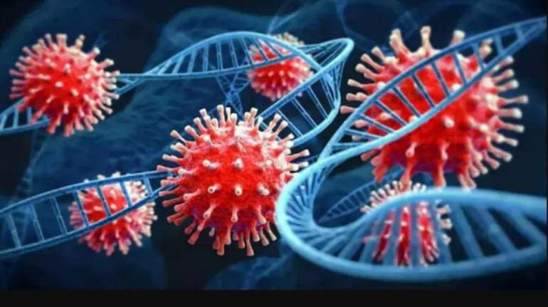 Reports Suggest That China And Pakistan Are Creating A New COVID-like Virus - What You Need To Know 92 पाकिस्तान और चीन बना रहे हैं दुनिया की तबाही वाला 'घातक वायरस'? गुपचुप तरीके से सीक्रेट लैब में कर रहे हैं रिसर्च - Pakistan and China researching deadly virus ...