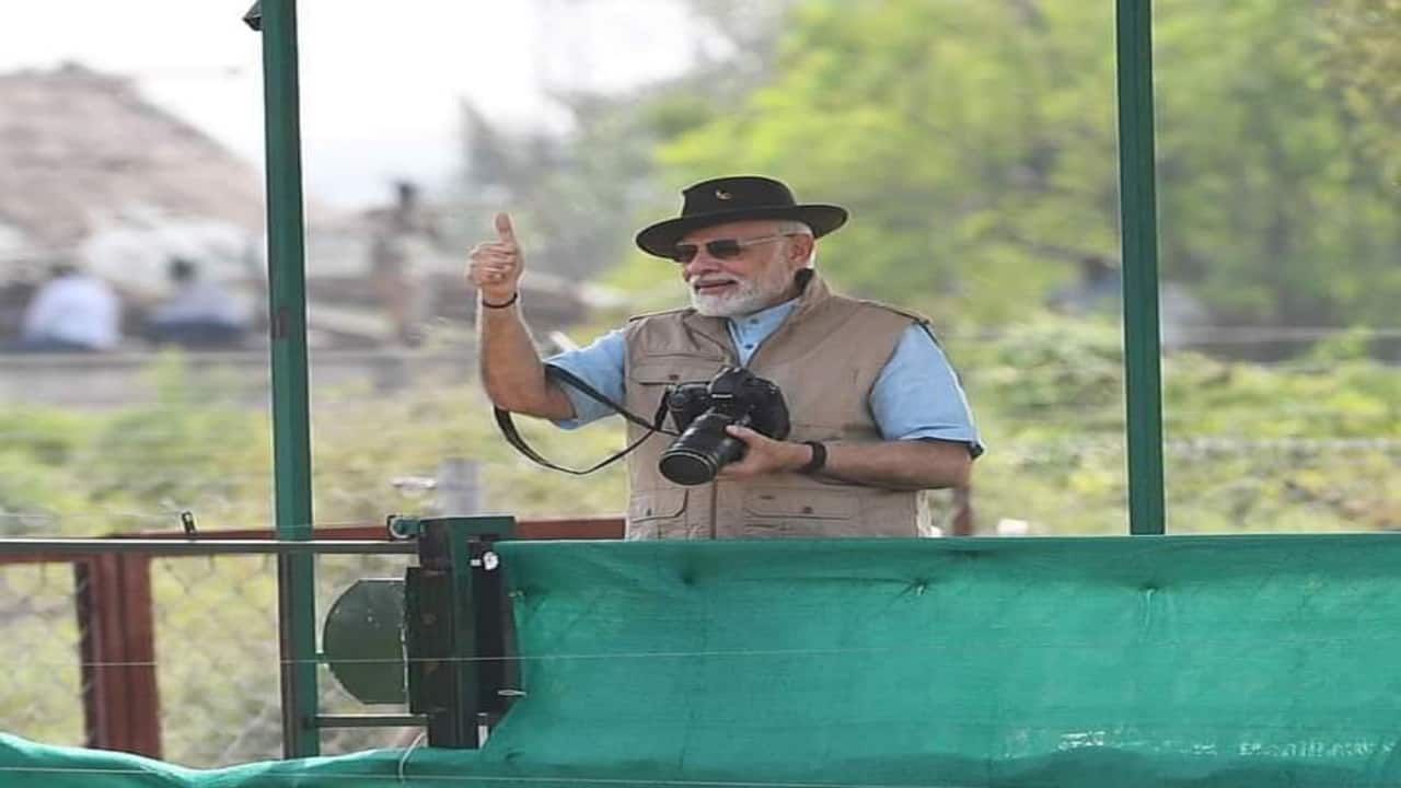 2 More Cubs Die In Kuno National Park : Experts Question The Warden | Project Cheetah 89 In Pics | PM Modi releases cheetahs in MP's Kuno National Park