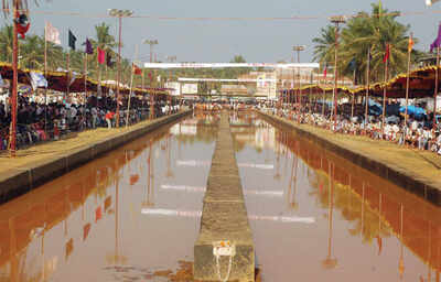 Kambala: Kambala is not a buffalo race, but tradition of Tulunadu