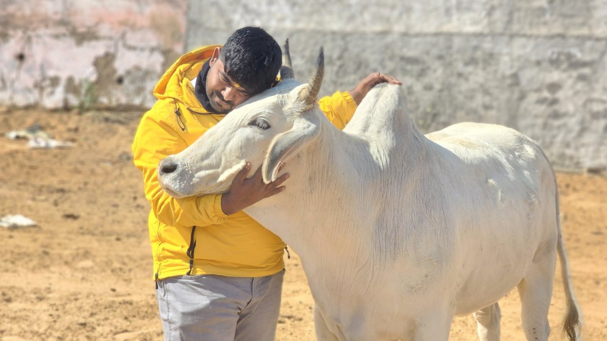 Monu Manesar, The Man Accused In The Rajasthan Murder Case Turns Out To Be A Youtuber And Popular Face Of Cow Vigilantism 87 Meet Monu Manesar Of Bajrang Dal, Prime Accused In Rajasthan Lynchings And Haryana's Leading Cow Vigilante