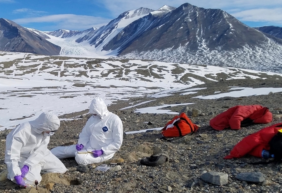 Siberian 'Zombie' Viruses | The next deadly pandemic 89 Arctic zombie viruses in Siberia could spark terrifying new pandemic, scientists warn