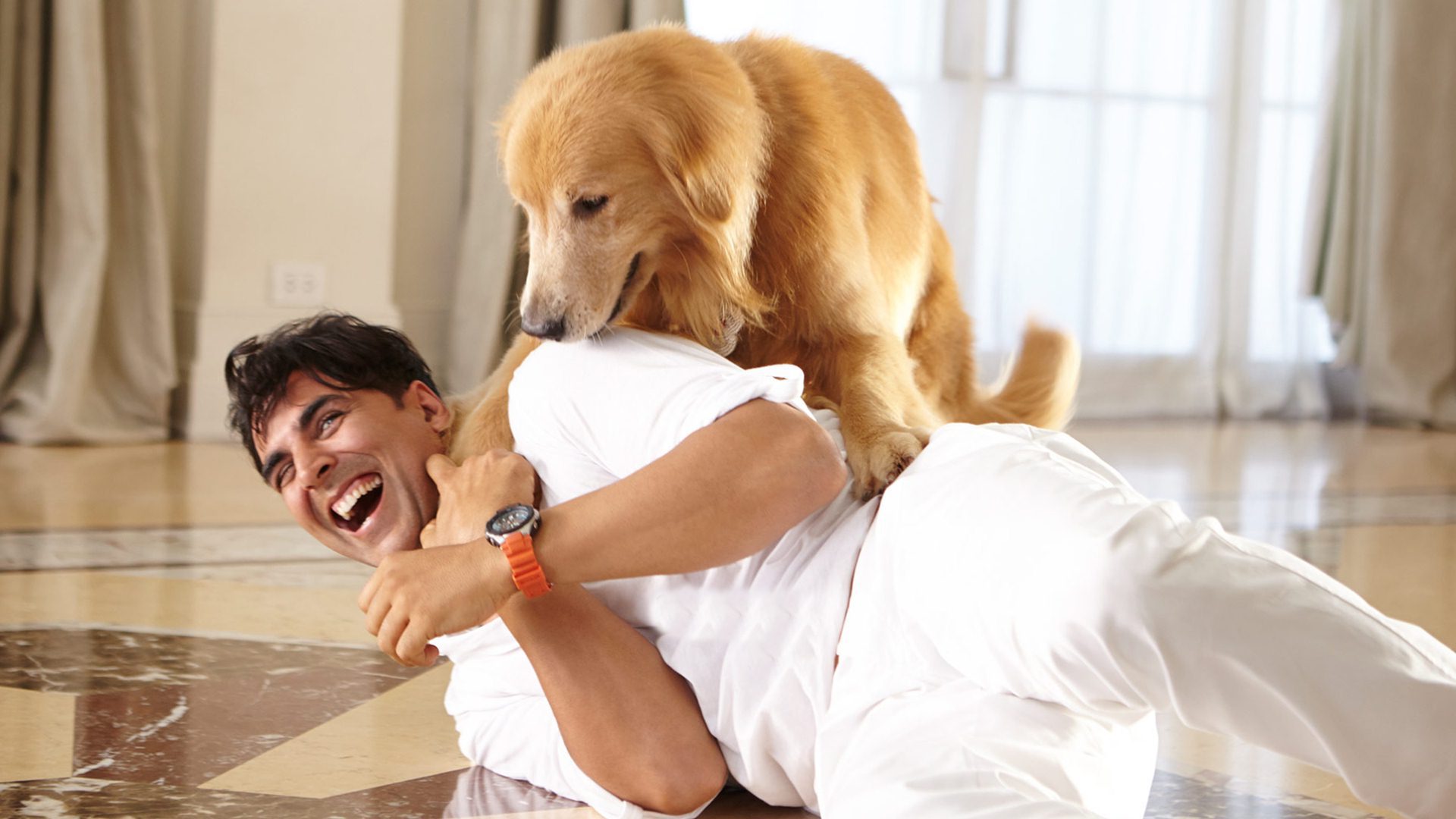 As 777 Charlie is Set to Release: Here are Seven Times When Dogs Won More Praise Than Stars in Films 119 Entertainment | Box Office Collection - India Box Office Report, Movie Review & Entertainment News