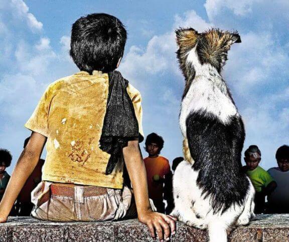 As 777 Charlie is Set to Release: Here are Seven Times When Dogs Won More Praise Than Stars in Films 120 chillar party dog