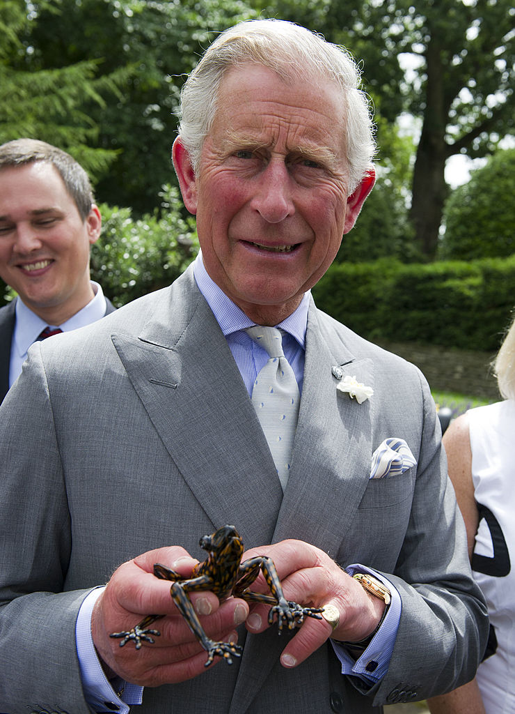 10 Lesser Known Facts About The Next King Of England - Charles III 96 15 Things You Never Knew About Prince Charles
