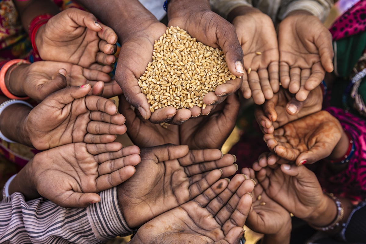 Surgical strike, Hunger, Global Hunger Index, Concern Worldwide, Welthungerhilfe