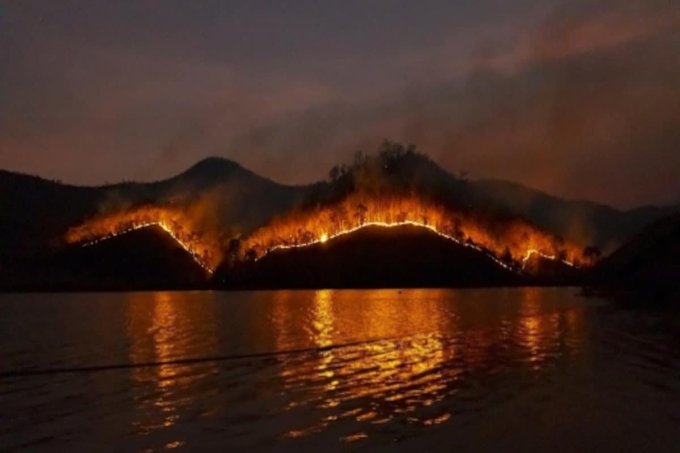 Unprecedented forest fire in Uttarakhand, over 40 active spots 87 First Post