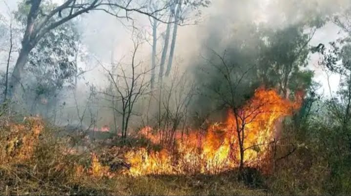 Unprecedented forest fire in Uttarakhand, over 40 active spots 88 Hindustan Times 1