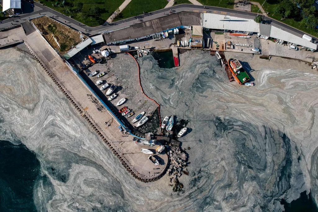 What is this Sea snot outbreak that is posing a threat to marine life? 87 3968