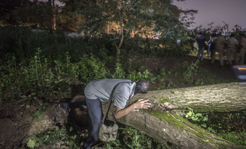 5 Environmental Horrors of India 89 825 aarey getty
