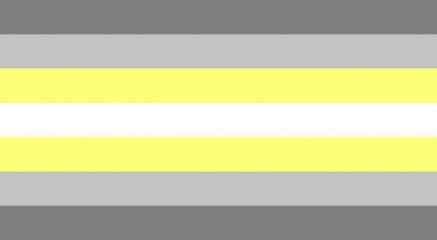 Demigender Pride Flag 630x347 1