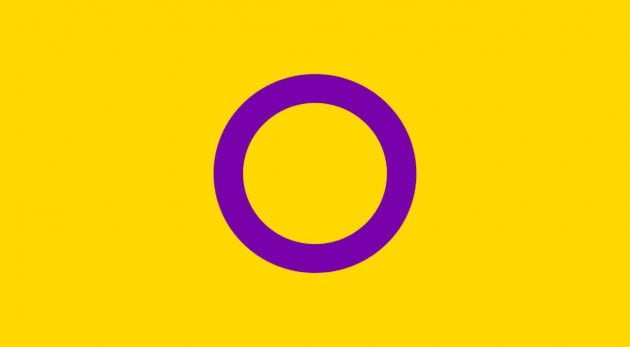 Intersex Pride Flag 630x347 1