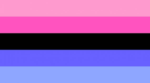 Omnisexual pride Flag 630x347 1