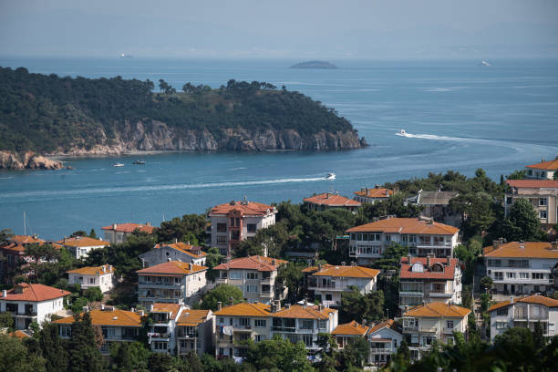 What is this Sea snot outbreak that is posing a threat to marine life? 89 gettyimages 1233326991 612x612 1