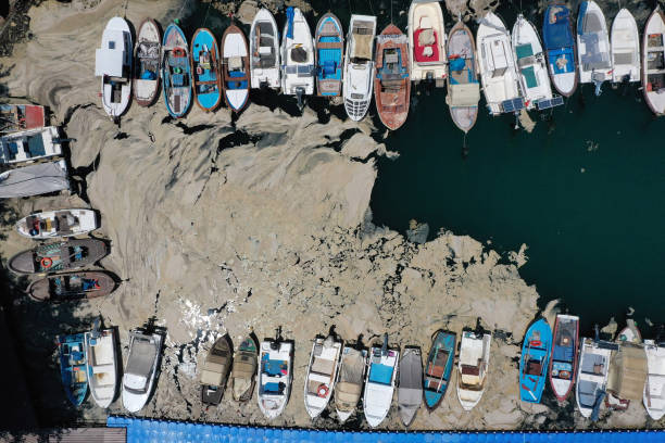 What is this Sea snot outbreak that is posing a threat to marine life? 91 gettyimages 1233353016 612x612 1