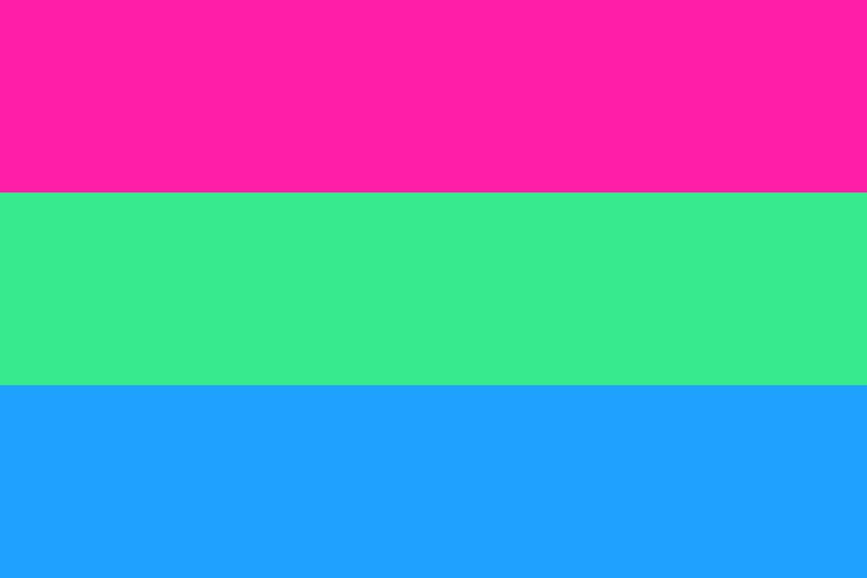 polysexual flag 1128936573