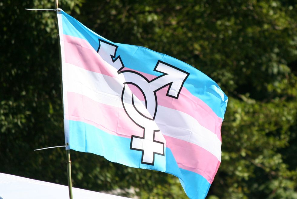 transgenderflag 1617845562