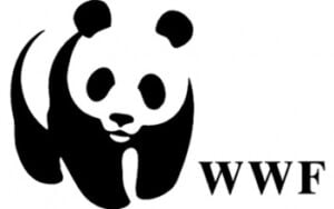 WWF Arranges A Cyclothon To Celebrate Earth Hour In Bengaluru 88 WWF