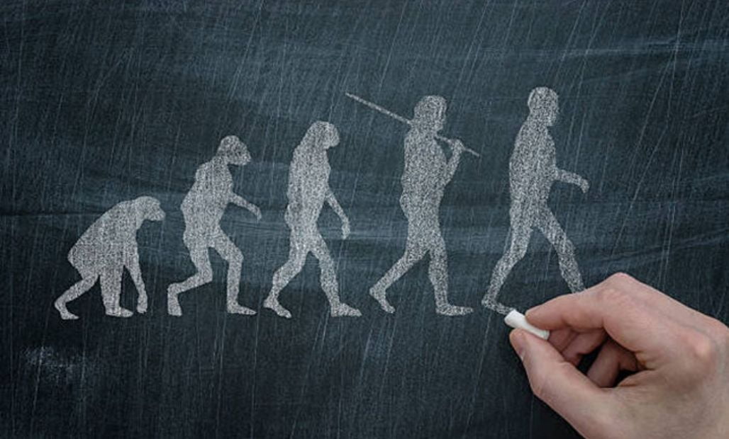 Theory of evolution